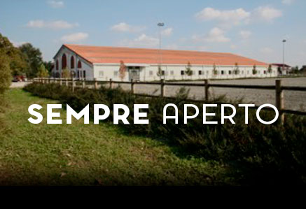 4 Istruttori tra cui scegliere