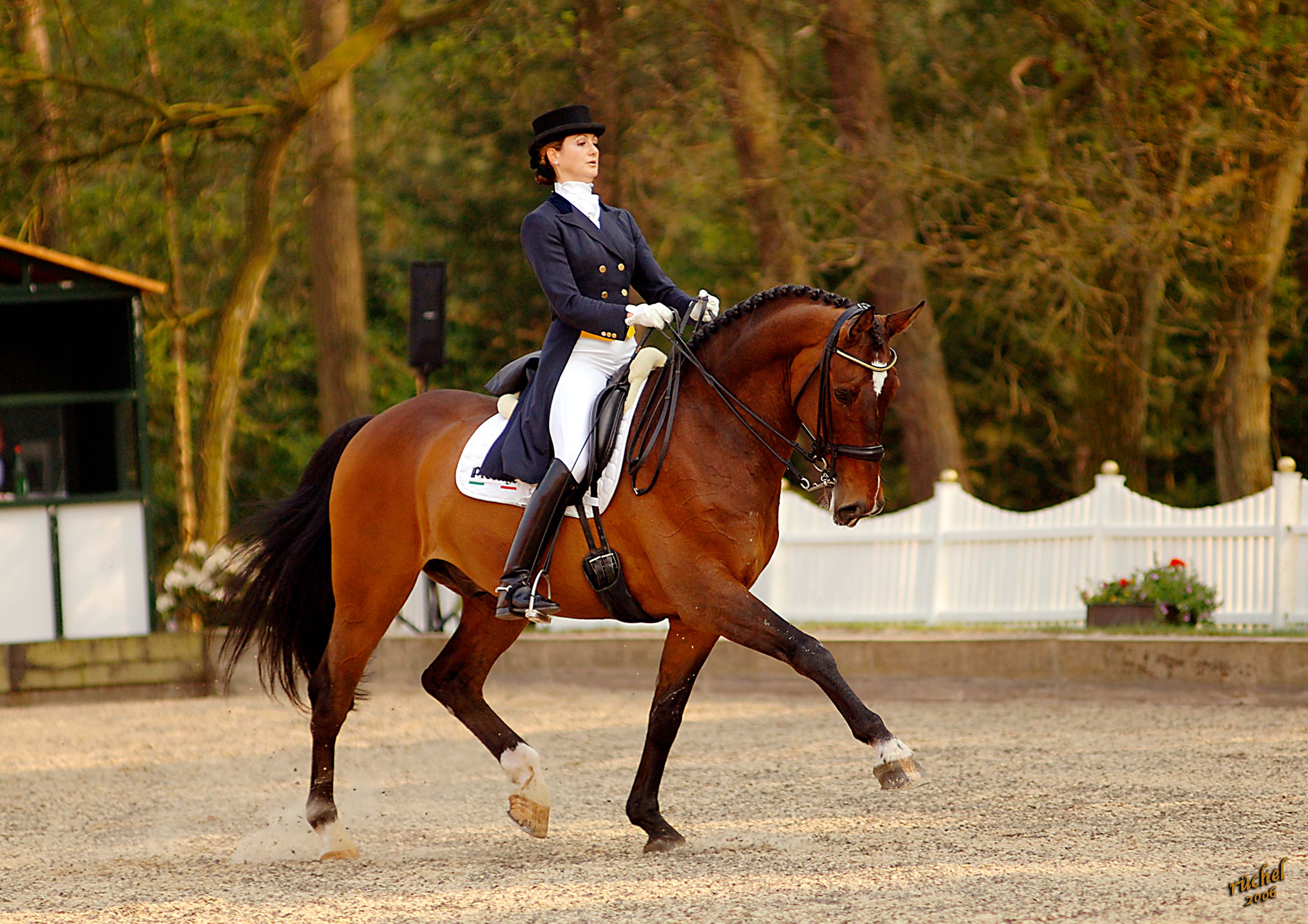 Eva con l’Etoile in Grand Prix a Meppen, Germania