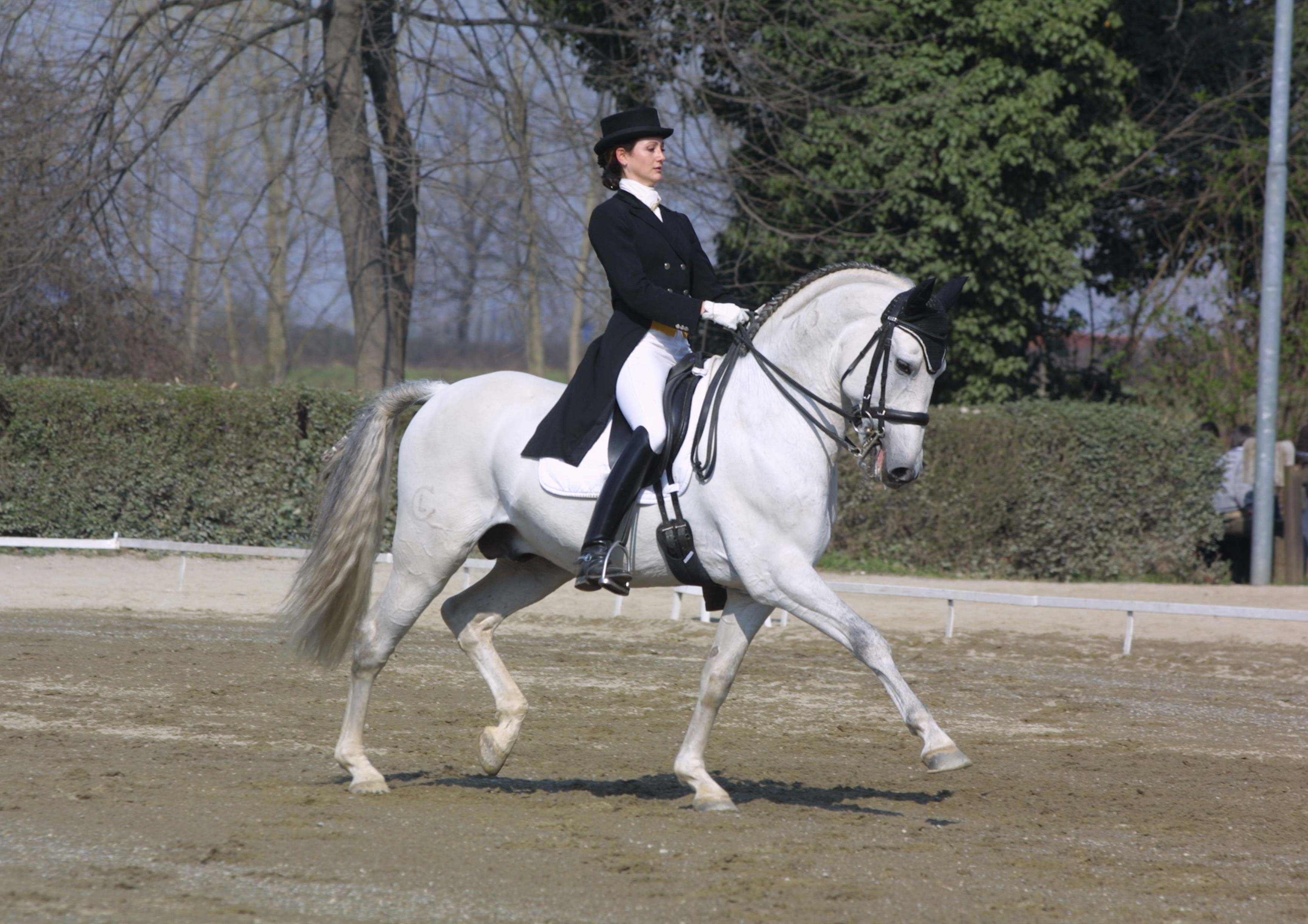 Eva e Lofe in Grand Prix