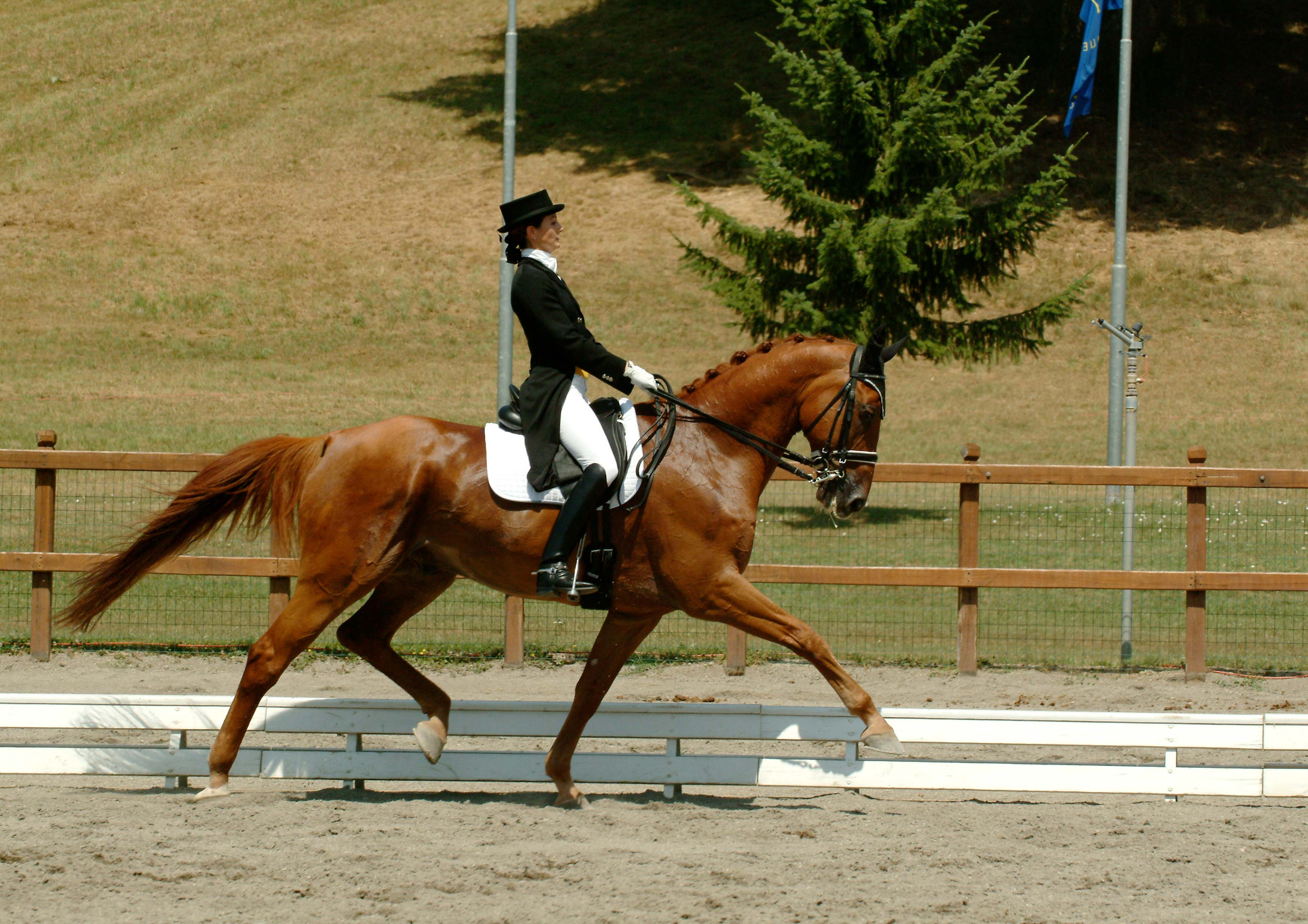 Eva con Vincent Medaglia d’Oro 2003