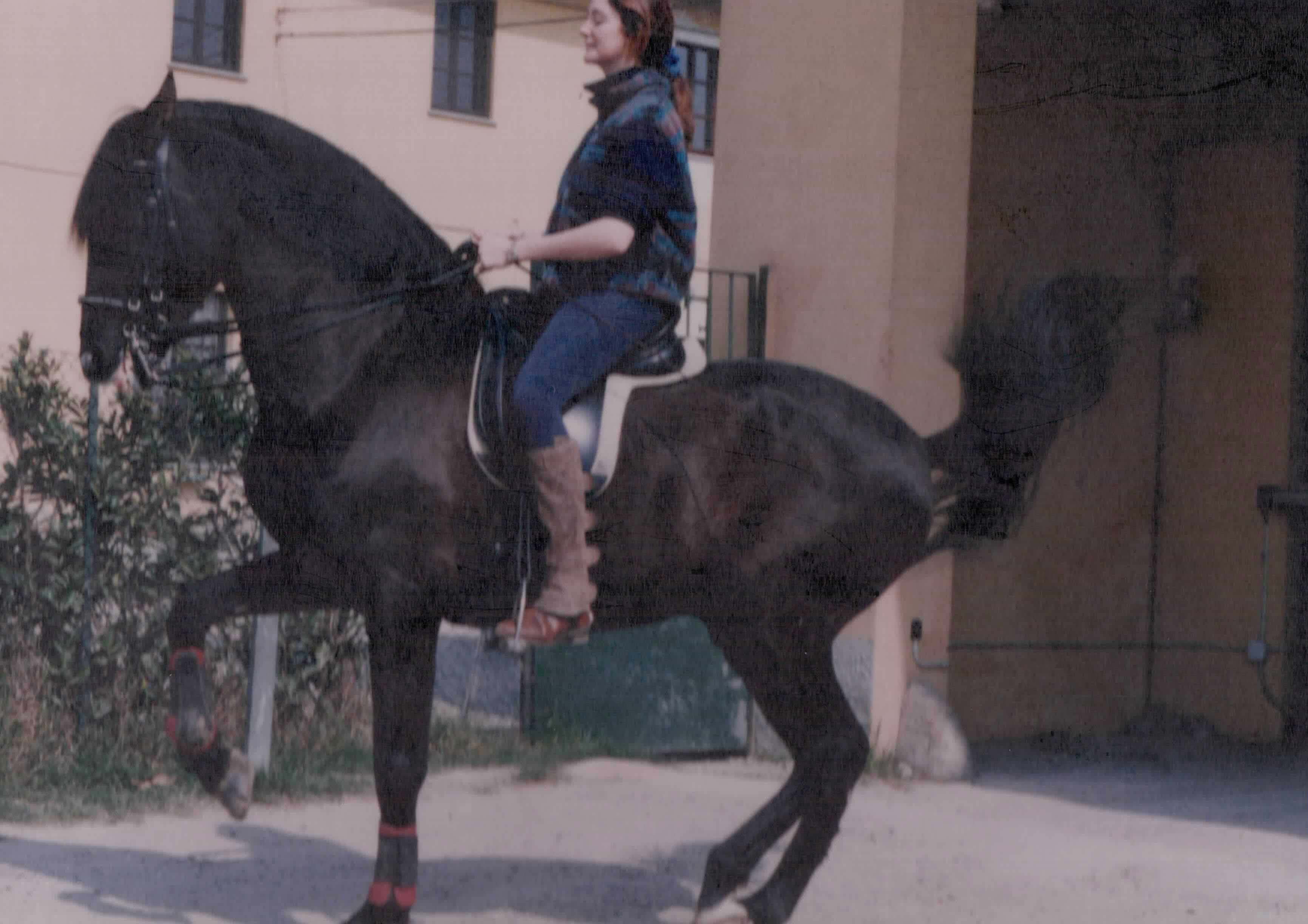 Eva-rosenthal-miei-cavalli-bolero-2