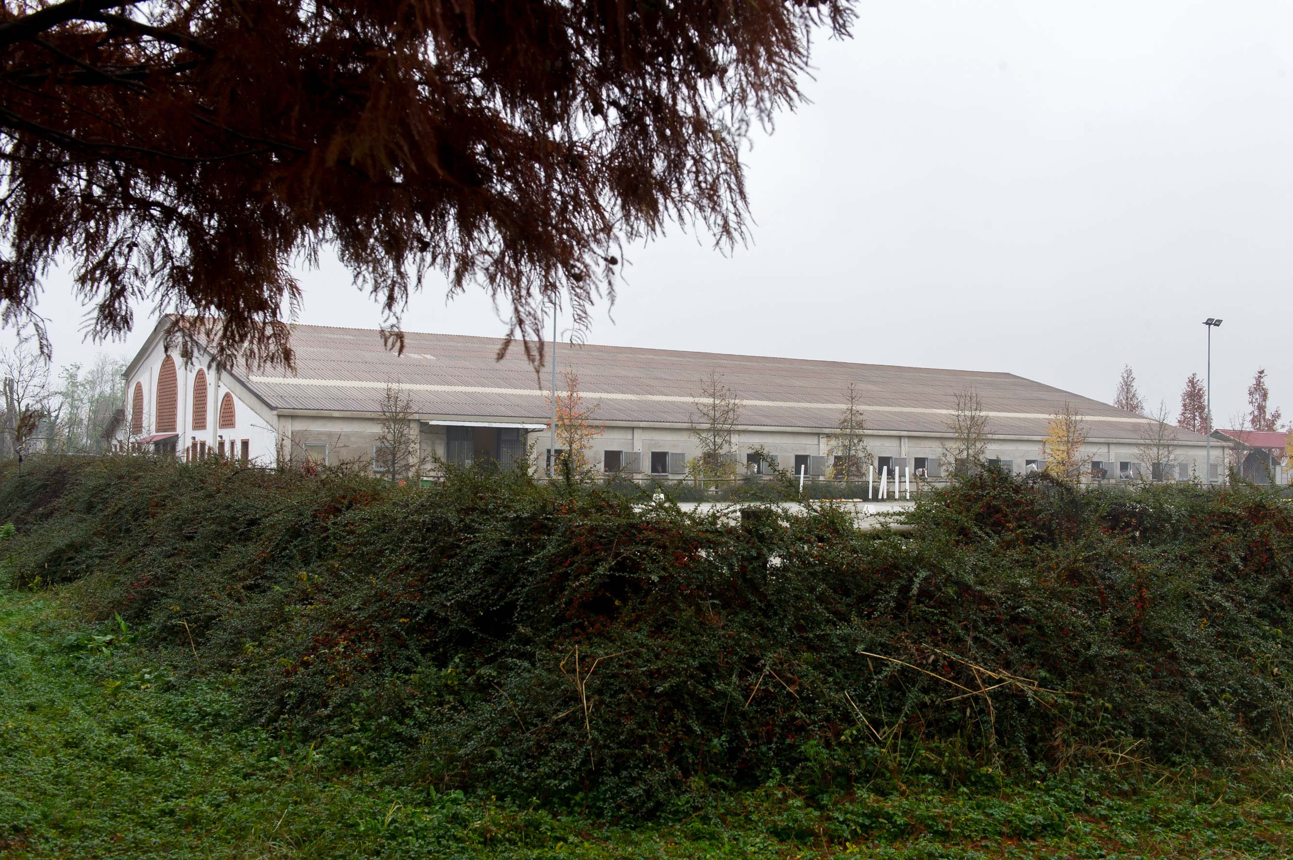 centro-equestre-carpiano-esterno